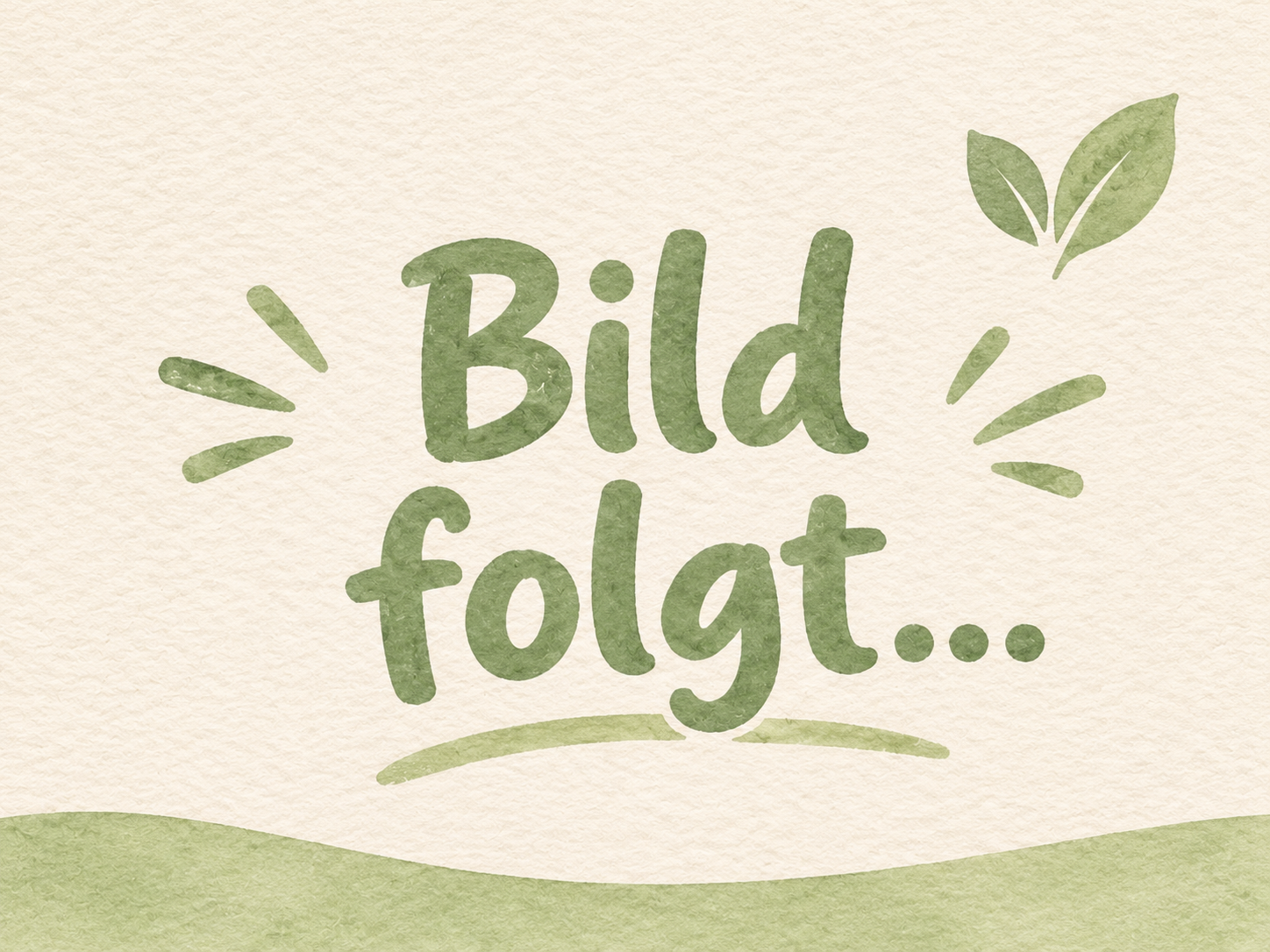Geflügel Frikadellen